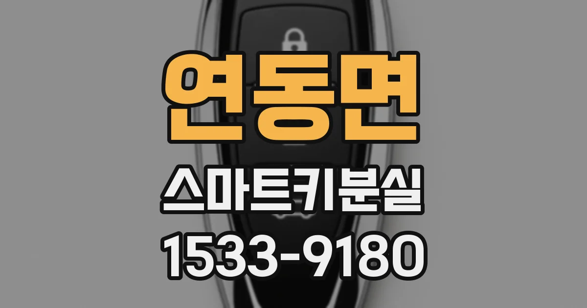 연동면 스마트키분실