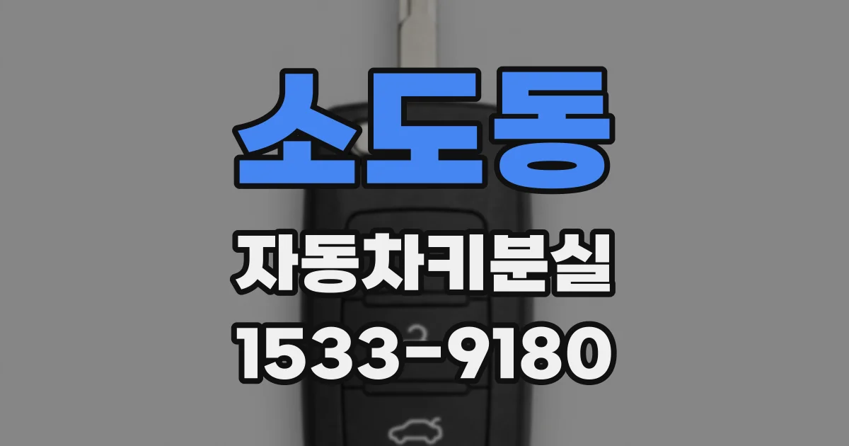 소도동 자동차키분실