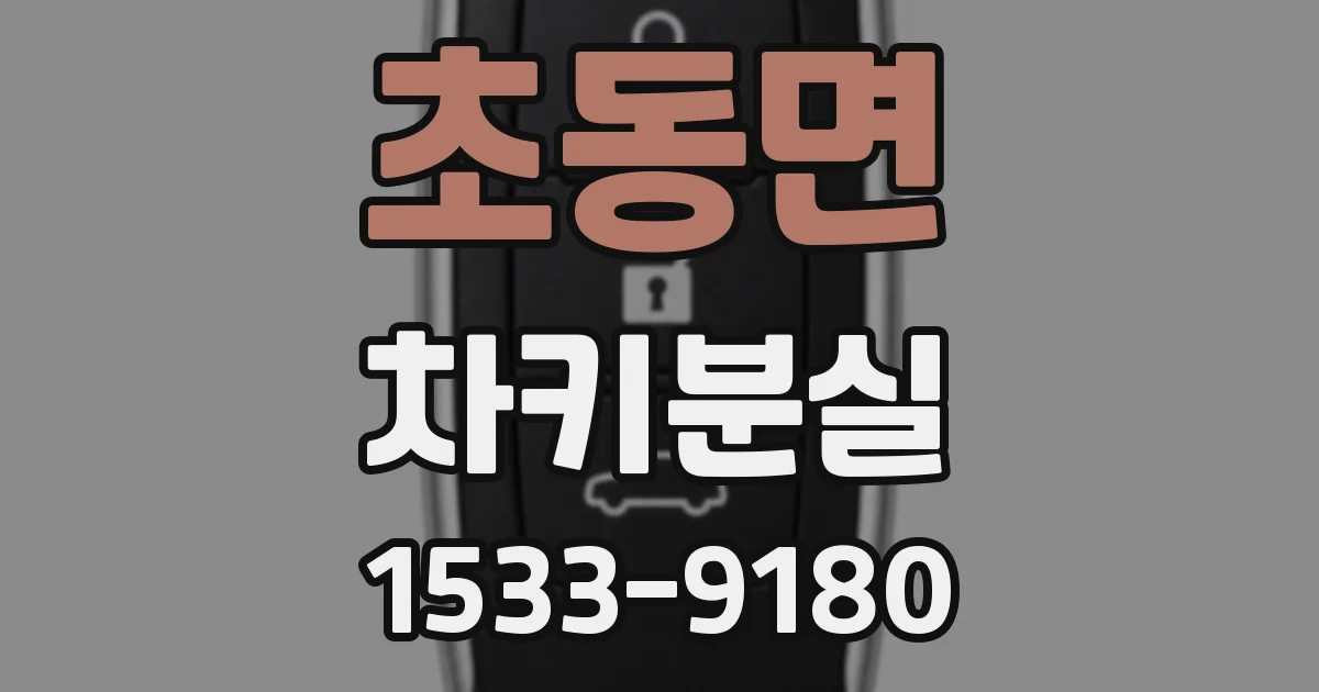 초동면 차키분실