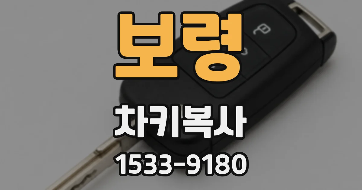 보령 차키복사
