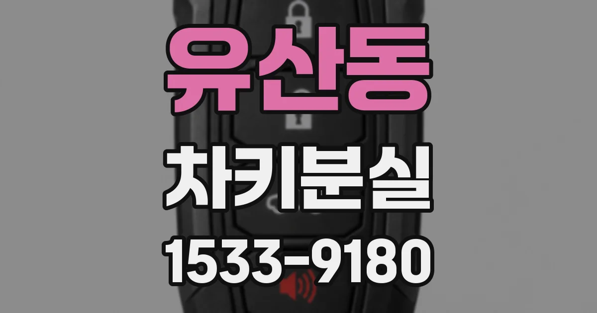유산동 차키분실