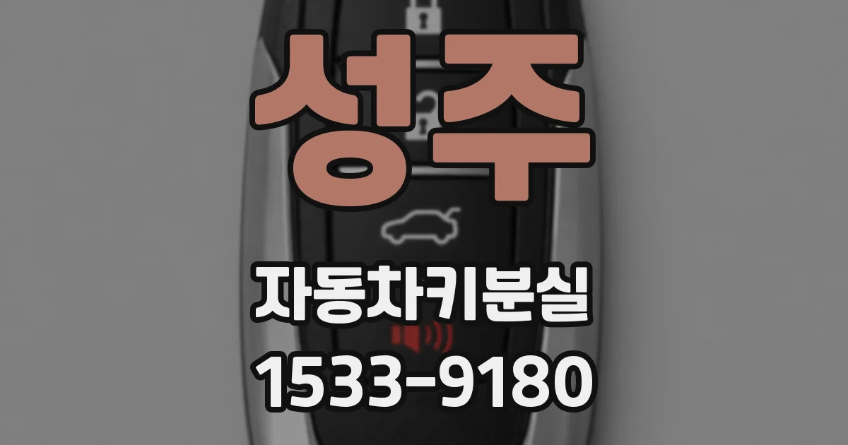성주 자동차키분실