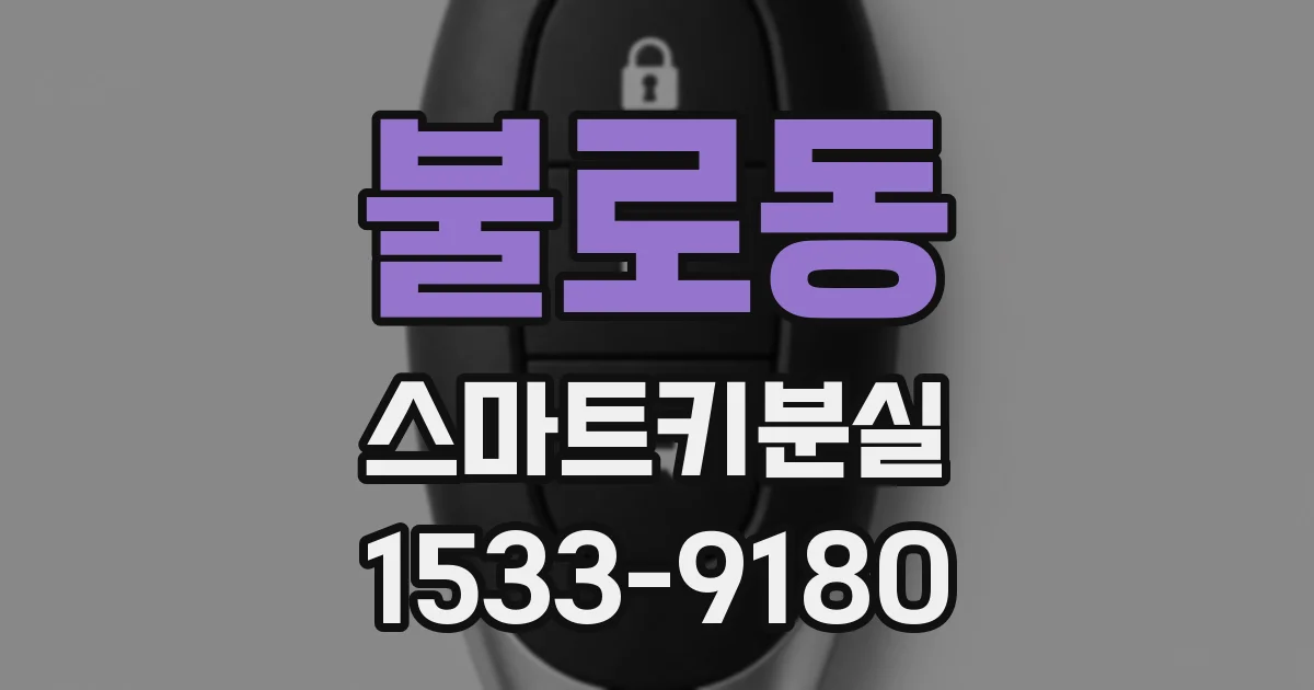 불로동 스마트키분실