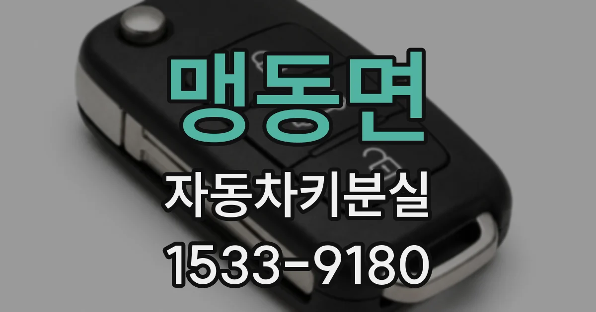 맹동면 자동차키분실