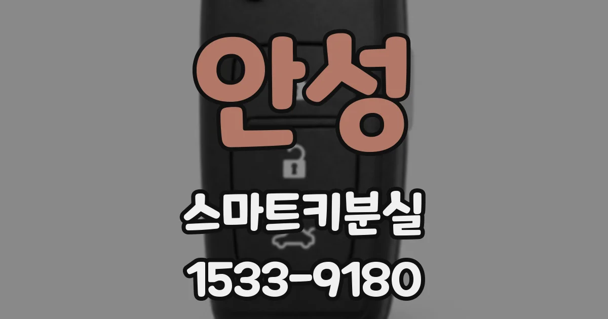 안성 스마트키분실