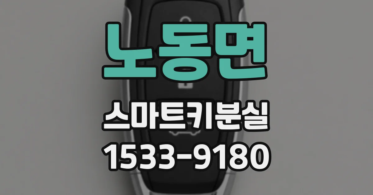 노동면 스마트키분실