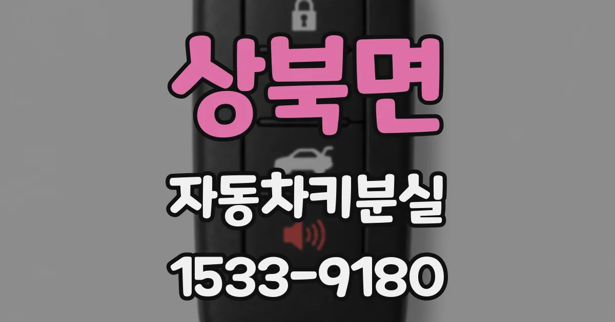 상북면 자동차키분실