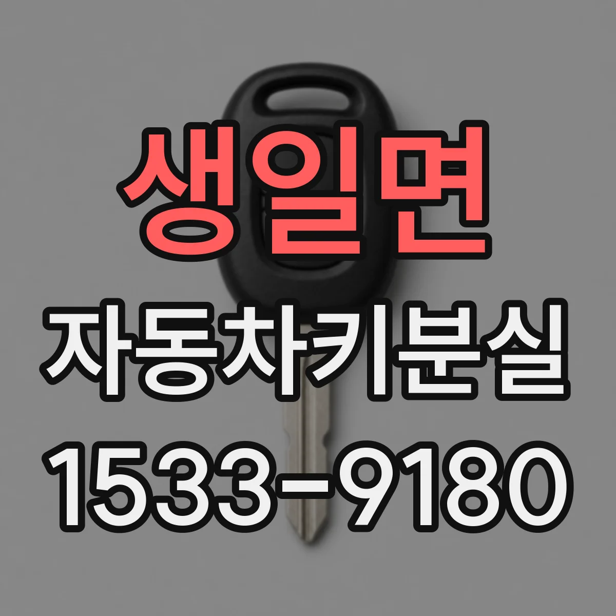 생일면 자동차키분실