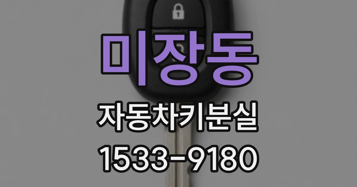 미장동 자동차키분실
