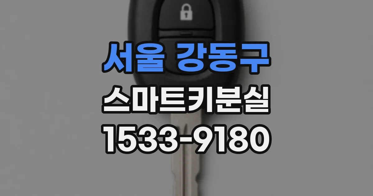서울 강동구 스마트키분실