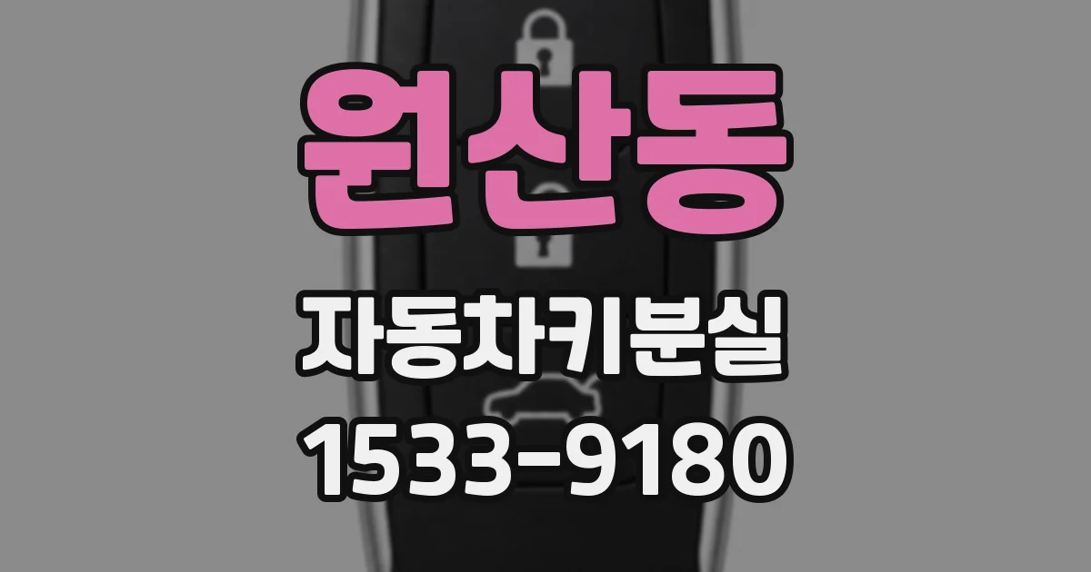 원산동 자동차키분실