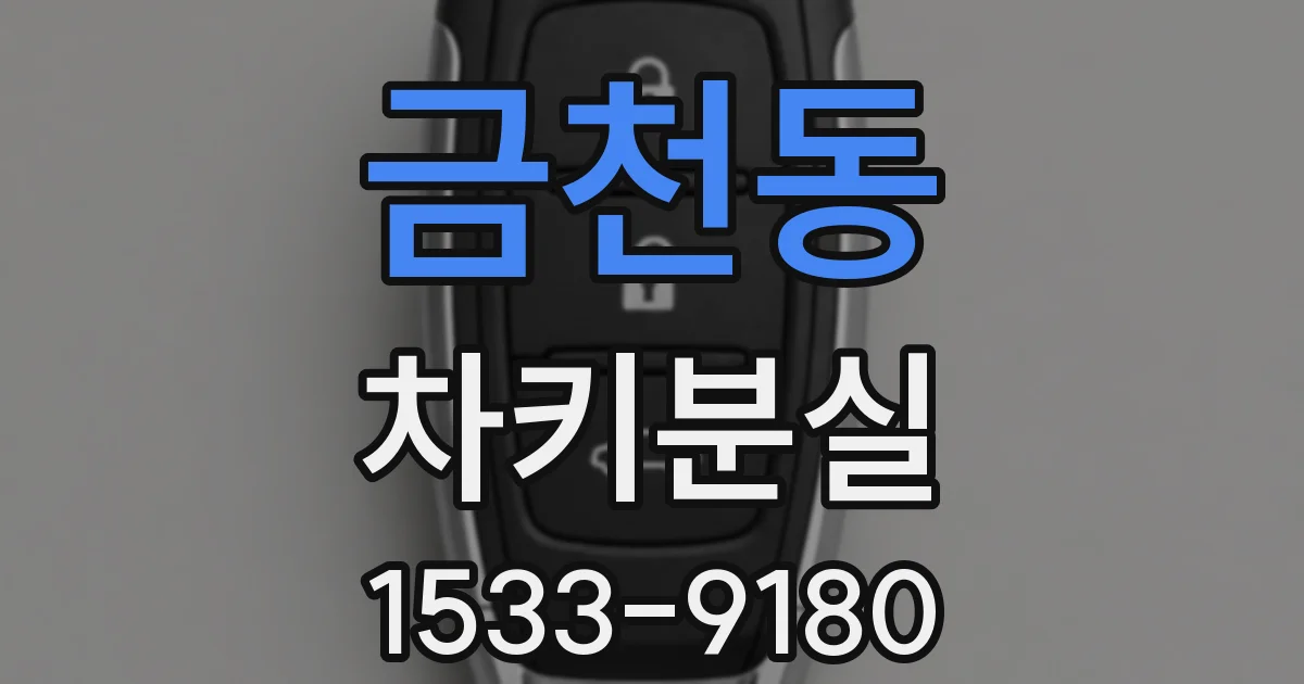 금천동 차키분실