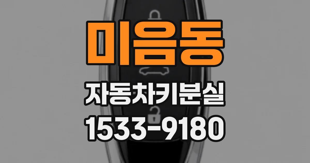 미음동 자동차키분실