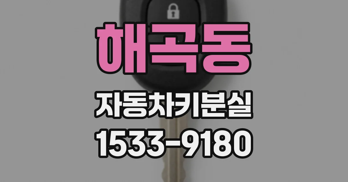 해곡동 자동차키분실