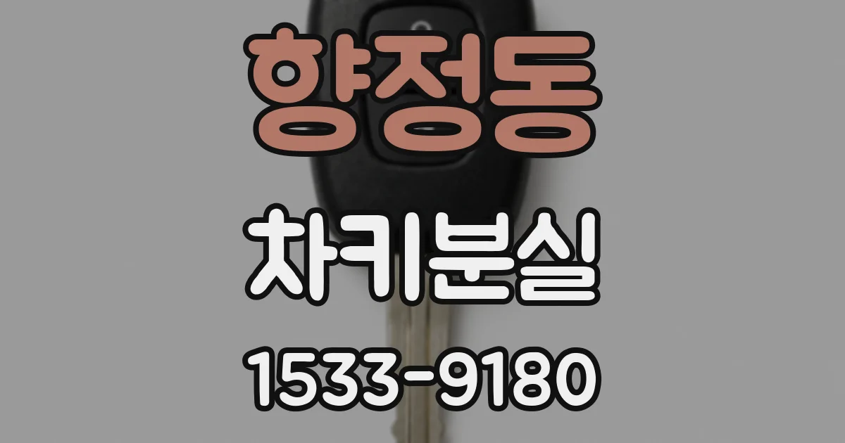 향정동 차키분실