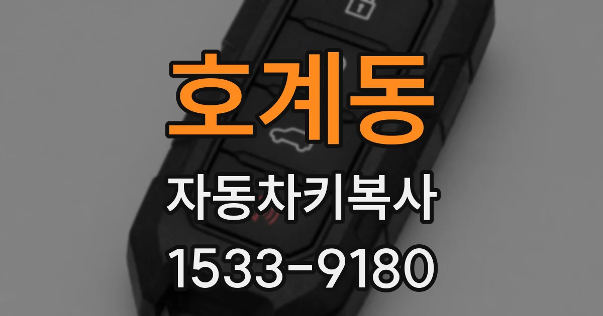 호계동 자동차키복사