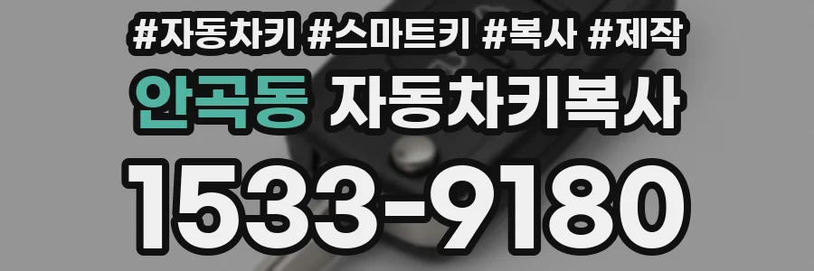 안곡동 자동차키복사