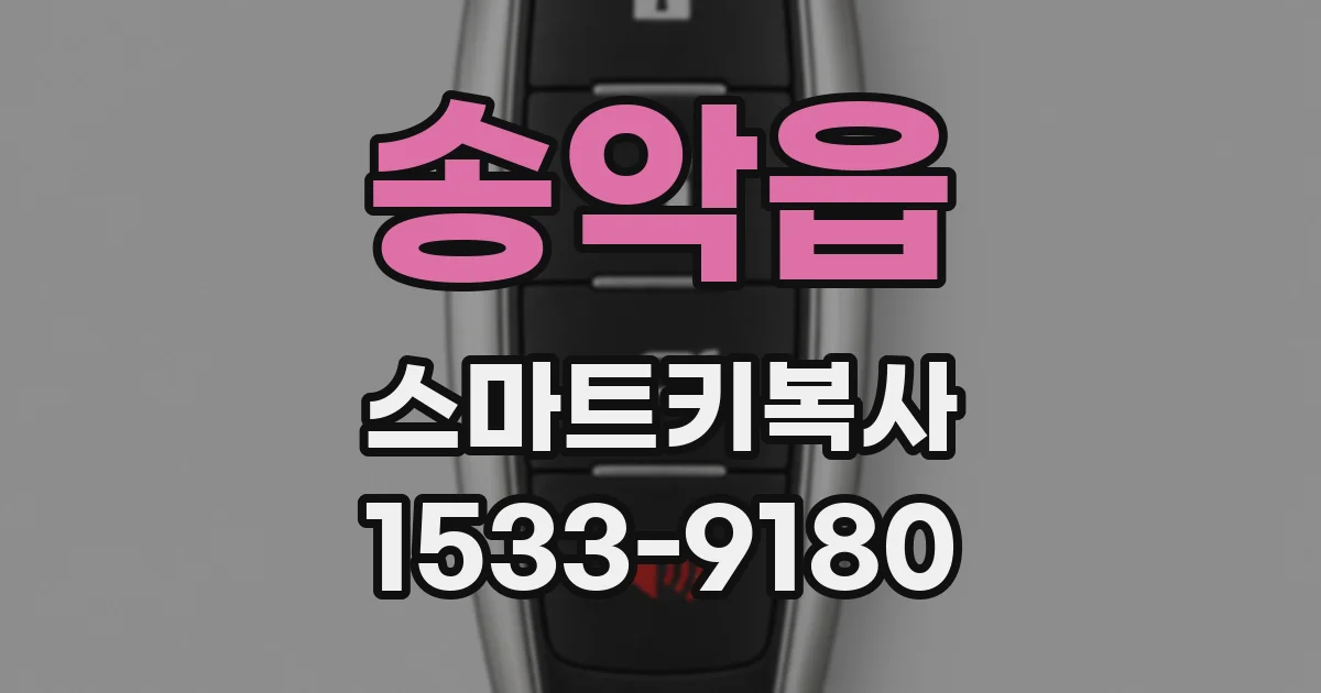 송악읍 스마트키복사