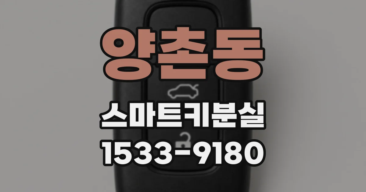 양촌동 스마트키분실
