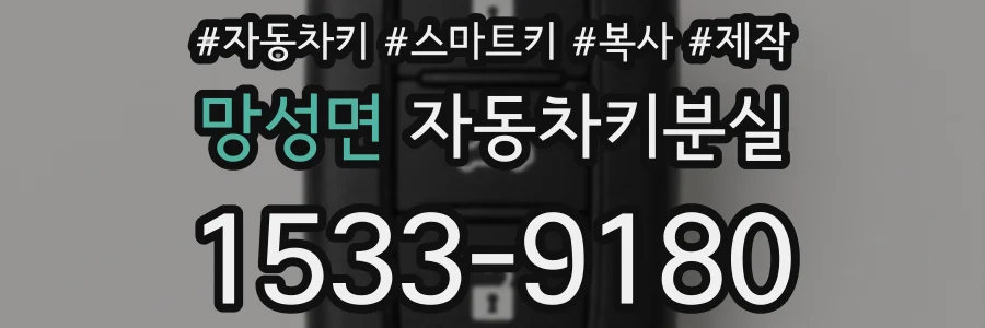 망성면 자동차키분실