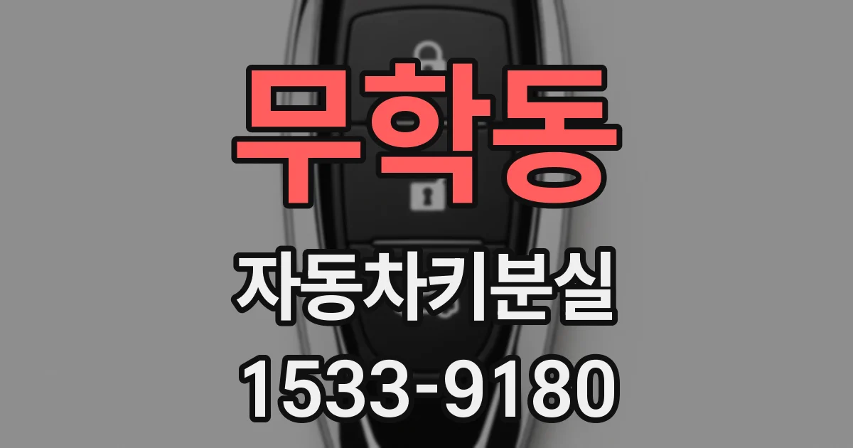 무학동 자동차키분실