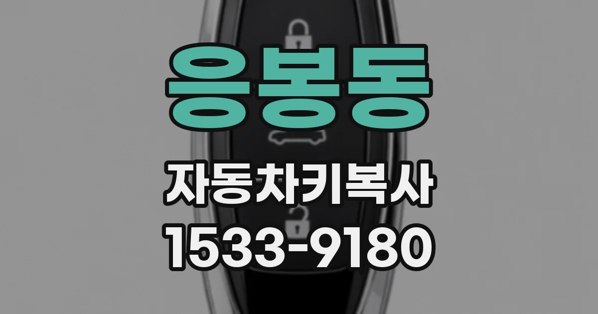 응봉동 자동차키복사