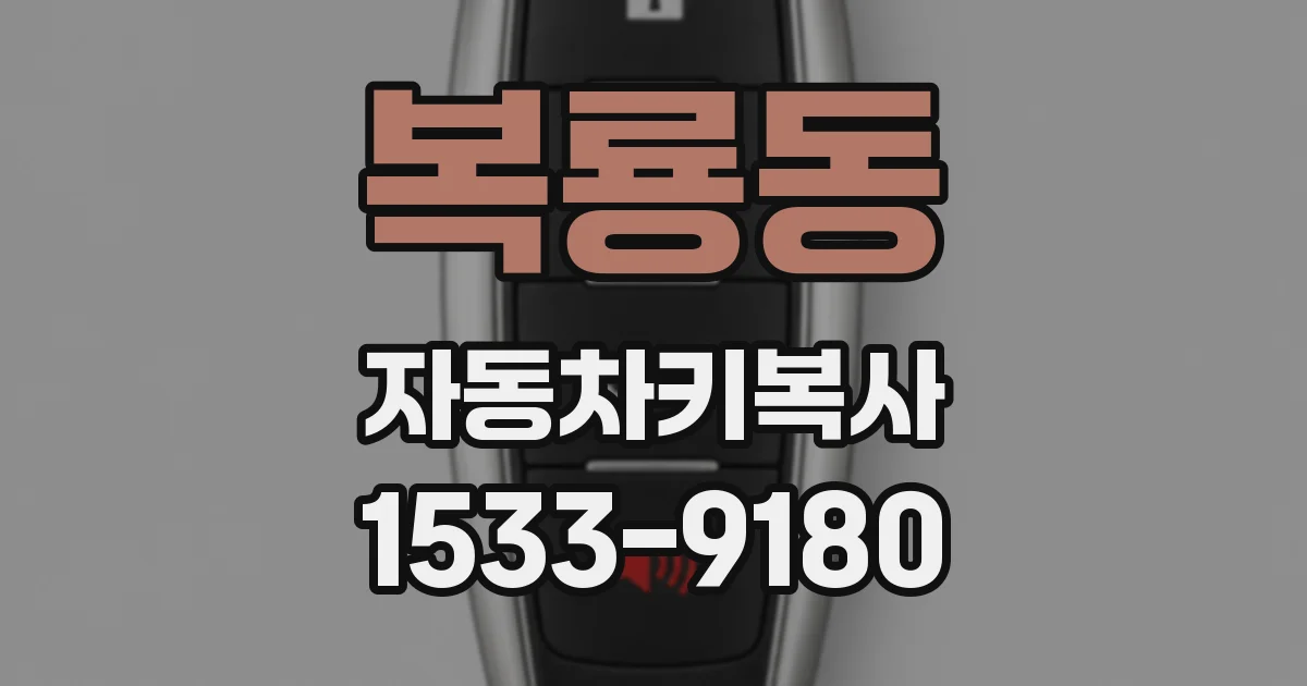 복룡동 자동차키복사