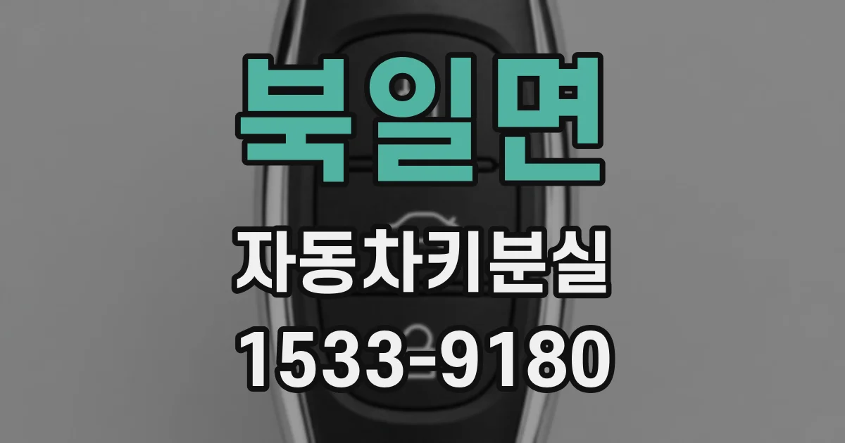 북일면 자동차키분실
