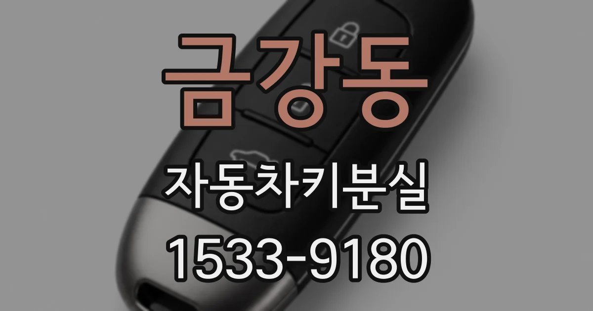 금강동 자동차키분실