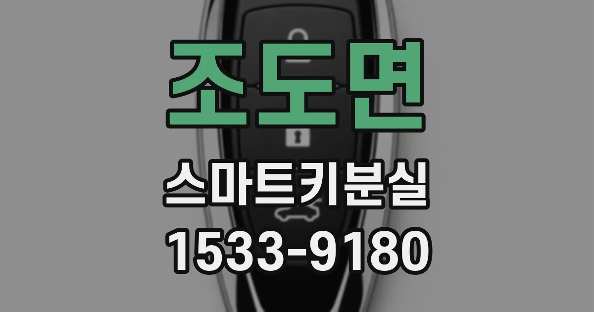 조도면 스마트키분실