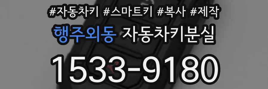 행주외동 자동차키분실
