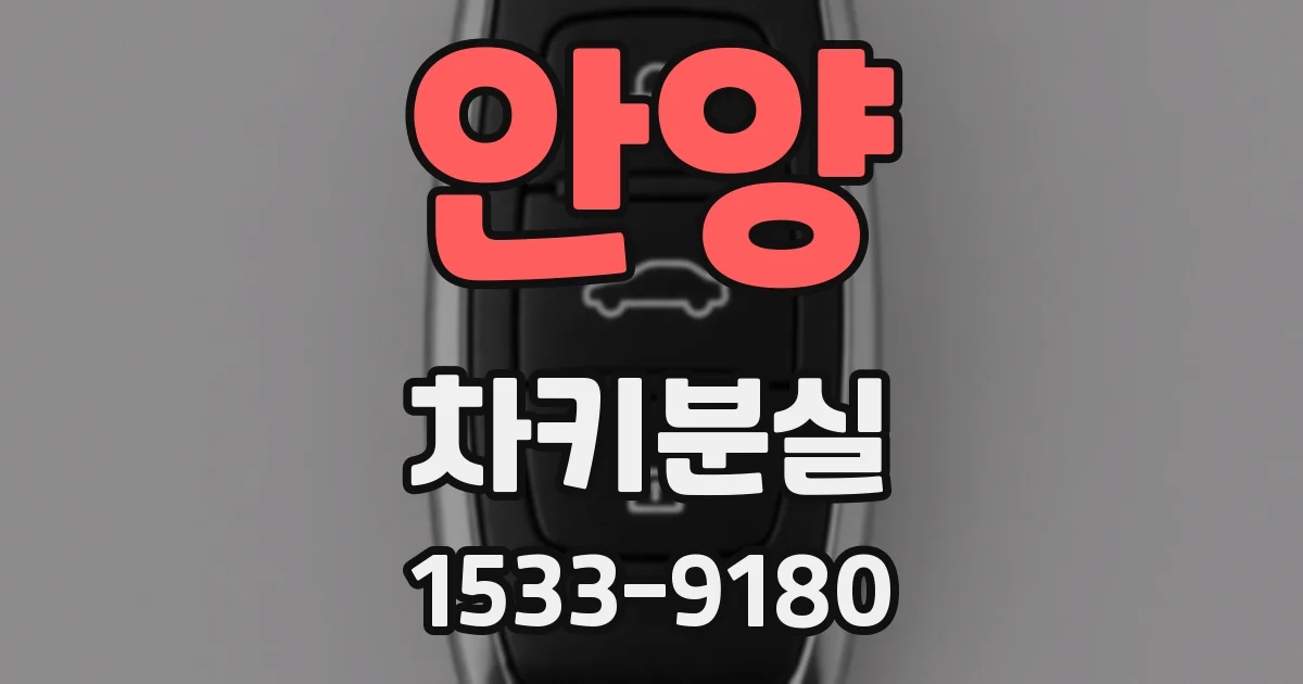 안양 차키분실