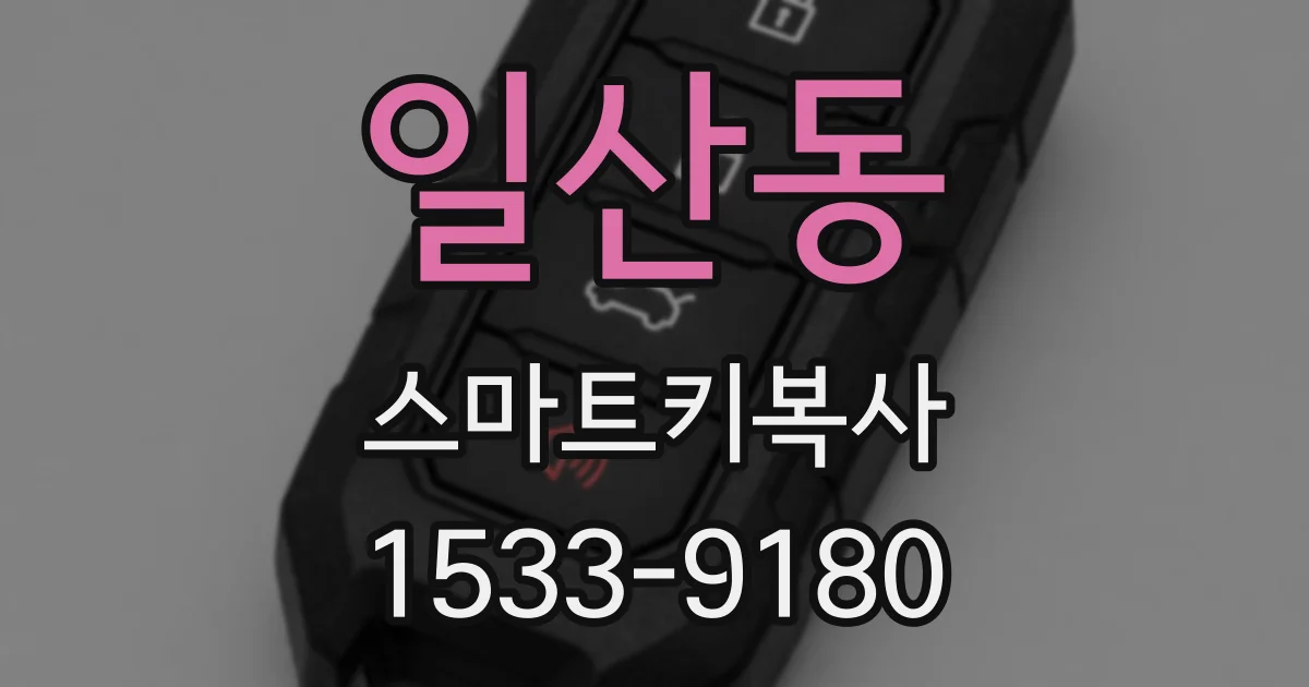 일산동 스마트키복사