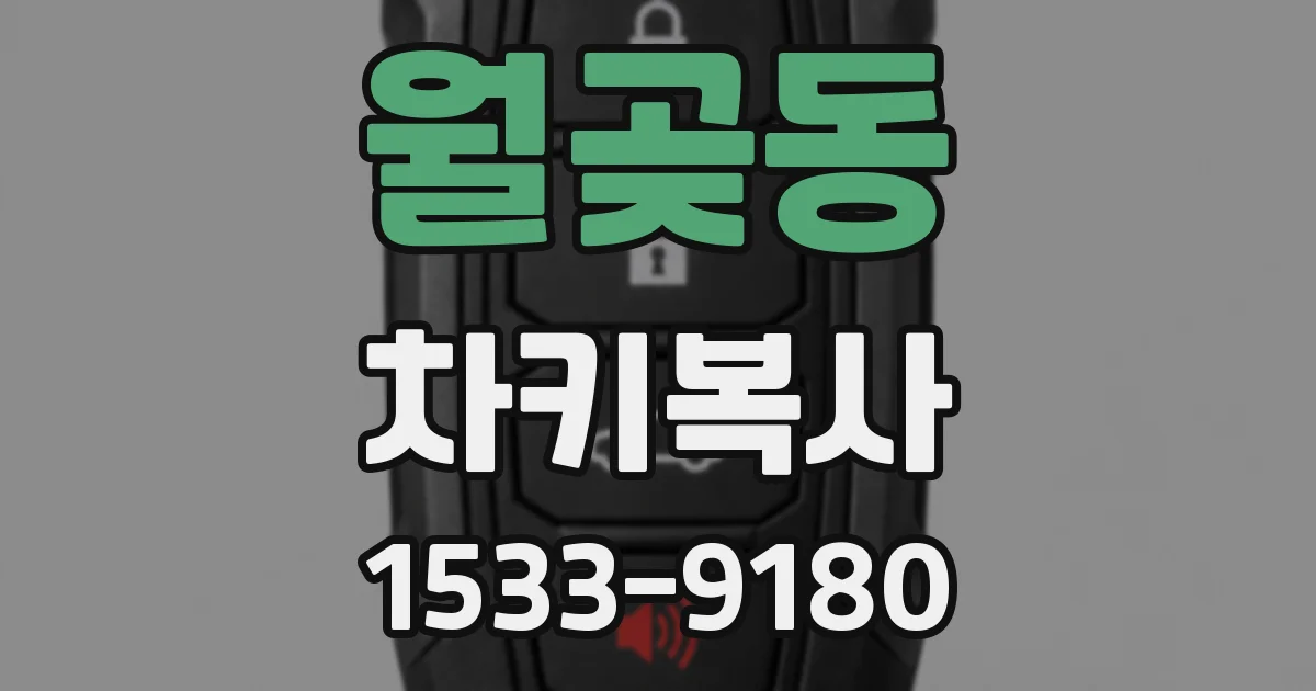월곶동 차키복사