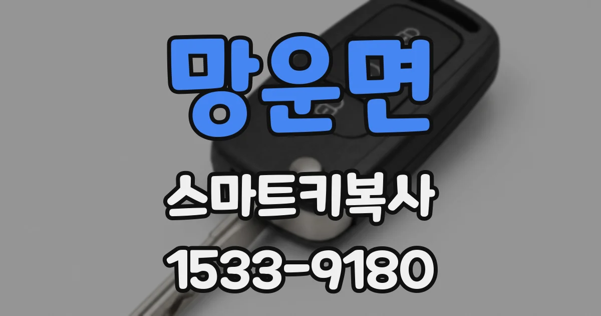 망운면 스마트키복사