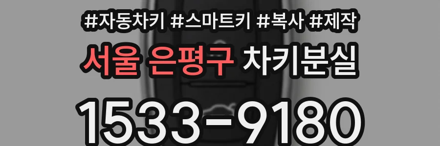 서울 은평구 차키분실
