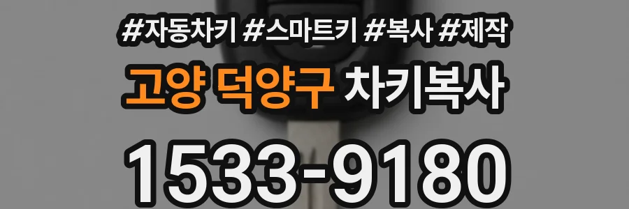 고양 덕양구 차키복사
