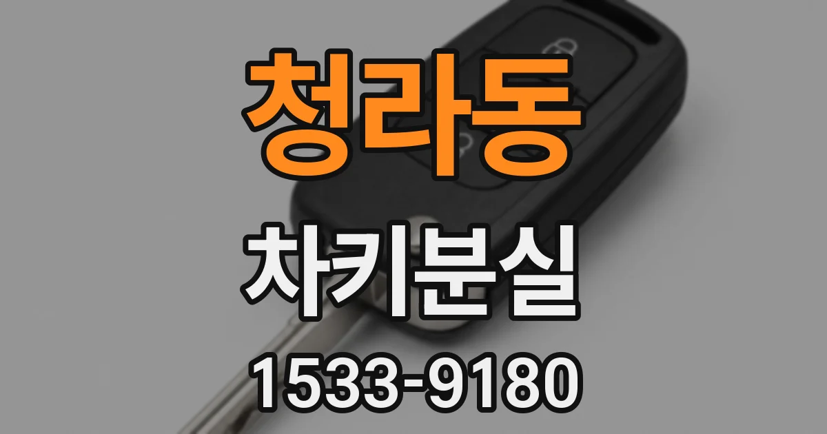 청라동 차키분실