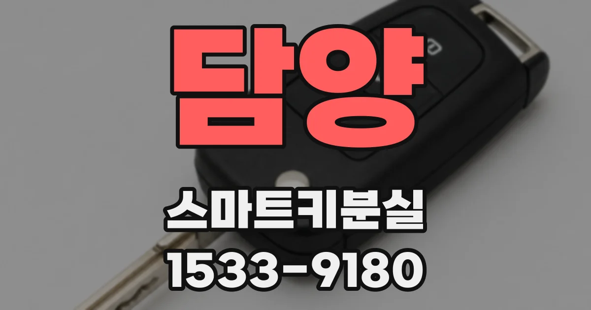 담양 스마트키분실