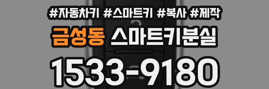 금성동 스마트키분실