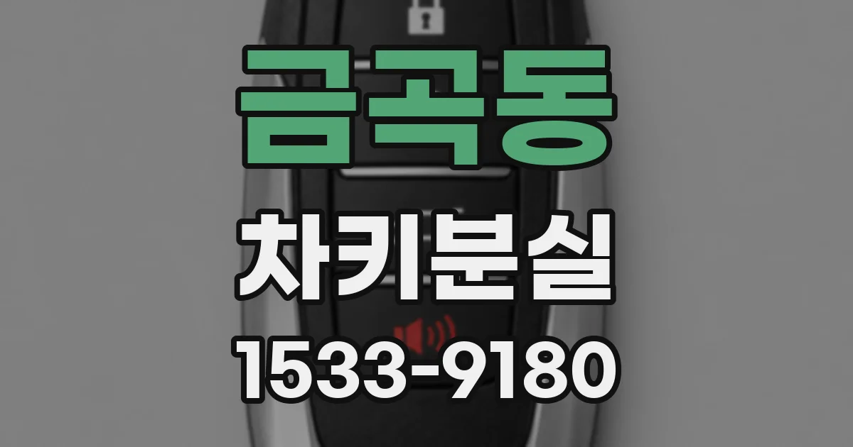 금곡동 차키분실