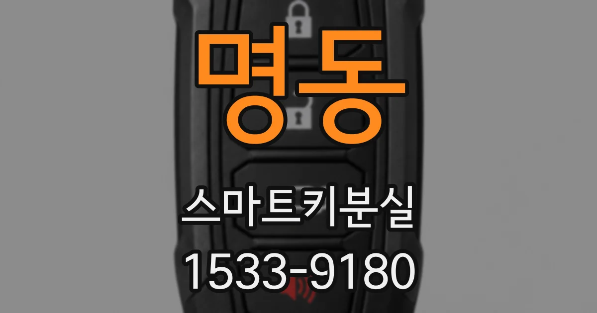 명동 스마트키분실