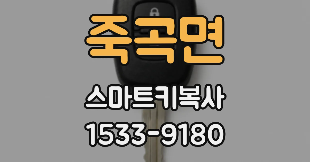 죽곡면 스마트키복사
