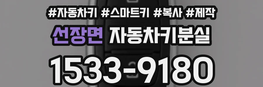 선장면 자동차키분실