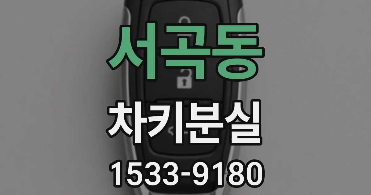 서곡동 차키분실