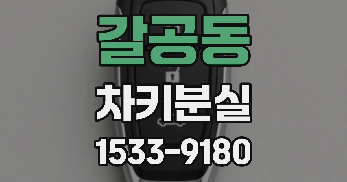 갈공동 차키분실
