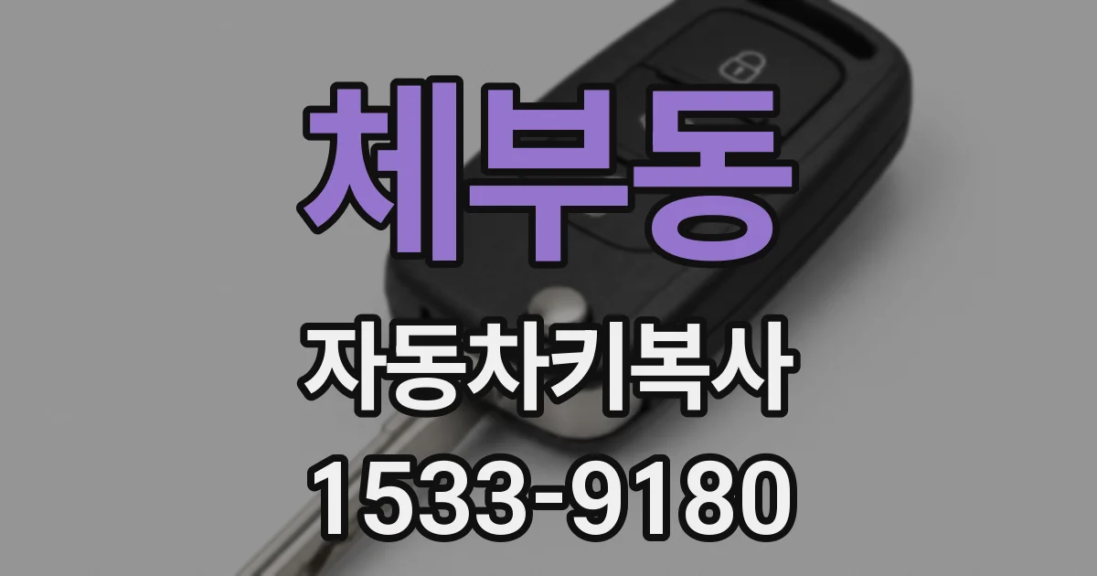 체부동 자동차키복사