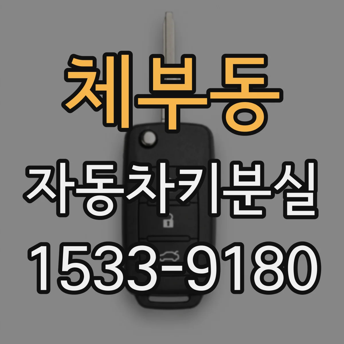 체부동 자동차키분실
