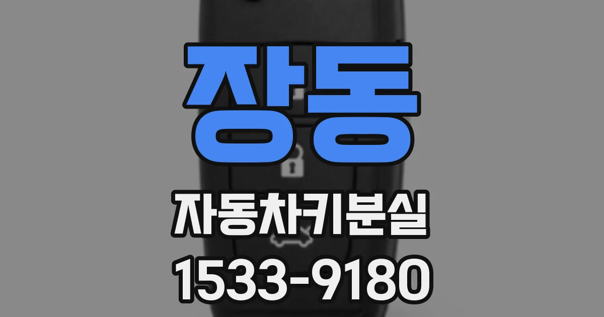 장동 자동차키분실