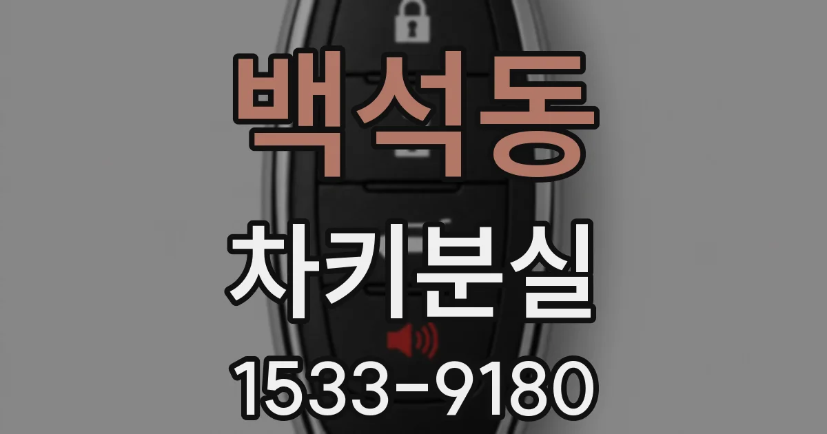 백석동 차키분실